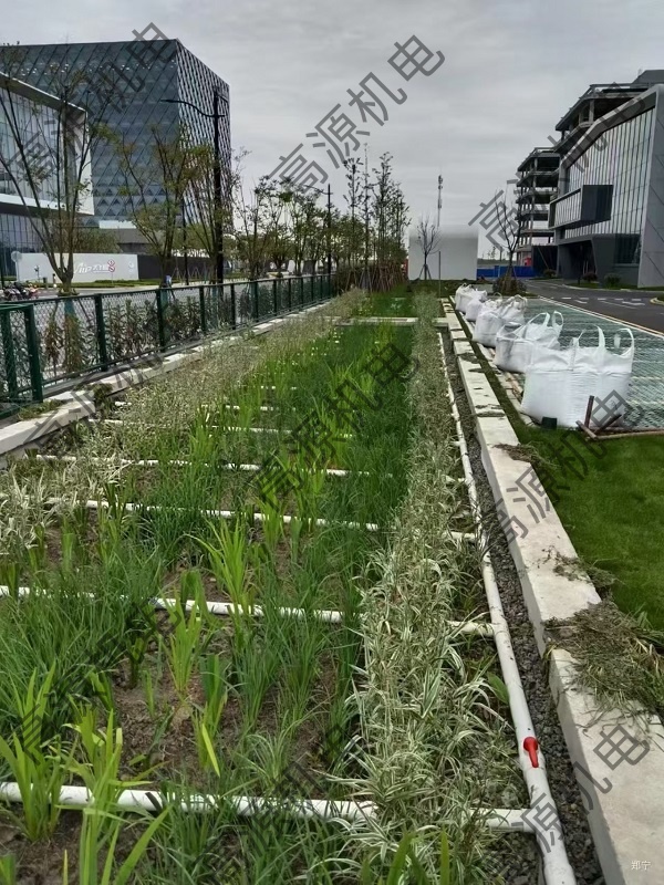 上海寶山區幼兒園微生態濾床項目