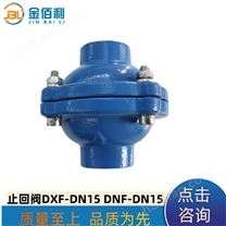 紐普蘭止回閥 單向閥 逆止閥 DXF DNF