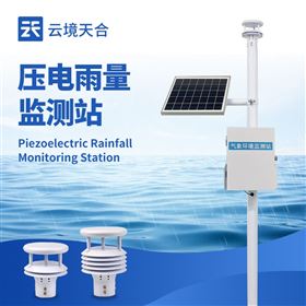 TH-YJ2壓電自動雨量監測系統