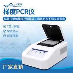 YP-T96梯度PCR仪