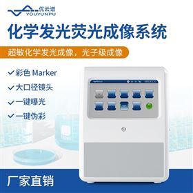 YP-HFG化學發光熒光成像系統