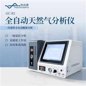 全自动天然气分析仪