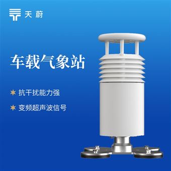 TW-CZ2二要素车载气象站