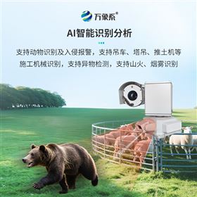 熊类智能驱逐器