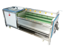 定制款紅薯清洗機 中藥材毛刷清洗機 根莖類去皮清洗機