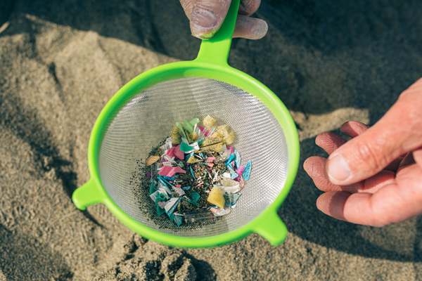 37項(xiàng)！國家林草局發(fā)布“以竹代塑”重點(diǎn)推廣科技成果