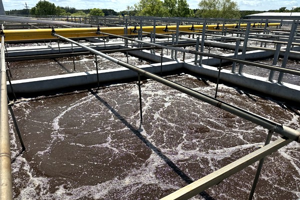 缺磷這事兒，對(duì)活性污泥的影響到底有多大？