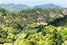 承德市“小三園 ”土壤滲濾灰水資源化利用典型案例