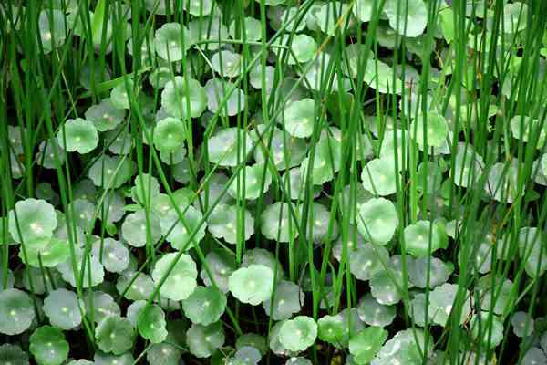 《山西省生態(tài)環(huán)境保護條例》全文公布 自2026年1月1日起施行