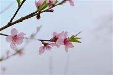 中國水務榮獲“ESG鄉(xiāng)村振興金牛獎”