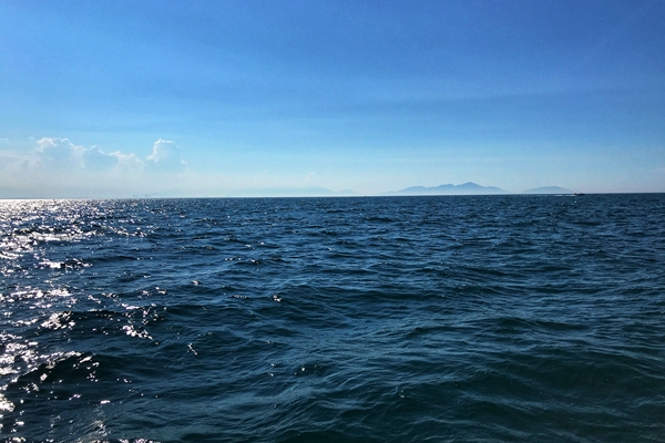 2.86億！四川眉山天府新區(qū)青龍第二工業(yè)污水處理廠(二期)項目EPC招標