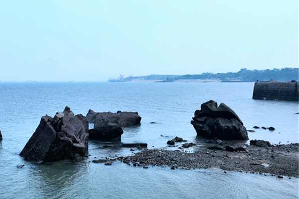 北控水務(wù)等多家中企入選！沙特水務(wù)公布最新開發(fā)商資格預(yù)審名單