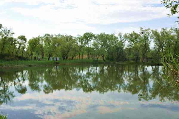 生態(tài)環(huán)境部等七部門聯(lián)合印發(fā)《長三角美麗中國先行區(qū)建設(shè)行動方案》