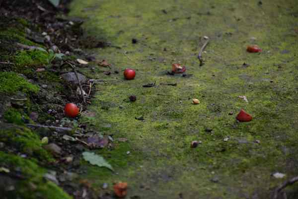 《四川省土壤污染源頭防控行動實施方案》印發(fā)