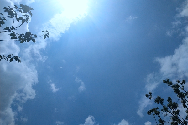 2420萬！喀什金嶺球團有限公司粉塵超低排放改造項目招標(biāo)