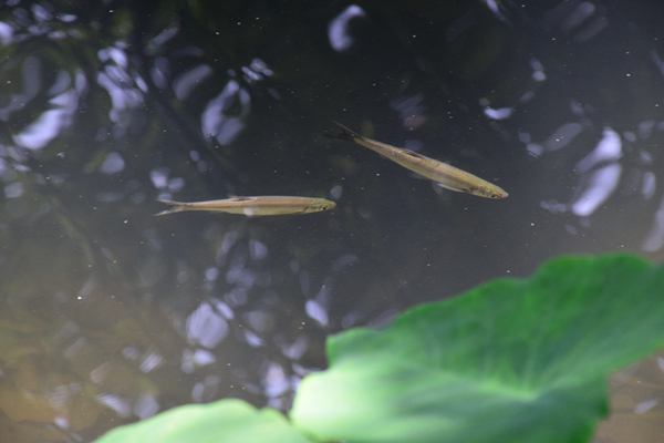 中原環(huán)保收購(gòu)兩家國(guó)企有新進(jìn)展 已簽署股權(quán)轉(zhuǎn)讓合同