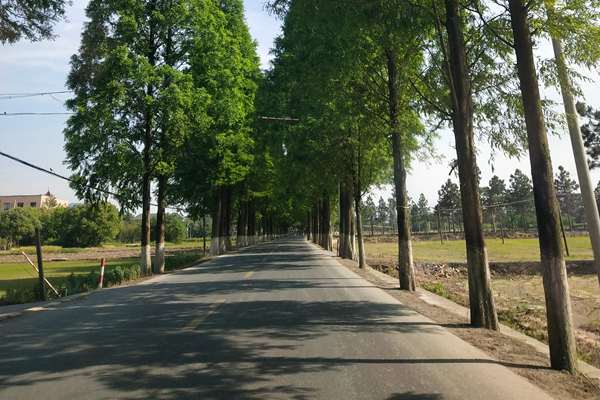 最高法、生態(tài)環(huán)境部聯(lián)合發(fā)布依法服務(wù)保障碳市場(chǎng)建設(shè)典型案例