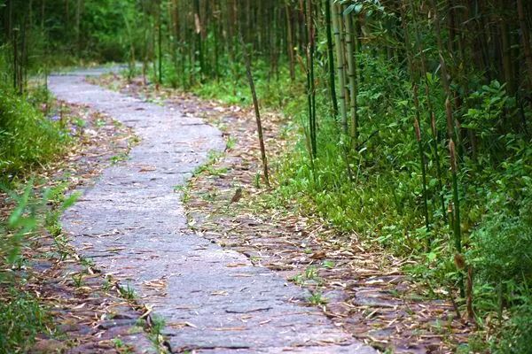 國家生態(tài)環(huán)境標準《排污單位視頻監(jiān)控建設(shè)與聯(lián)網(wǎng)技術(shù)要求》公開征求意見