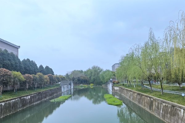 6600万！四川宜宾三江新区罗龙污水处理厂项目招标