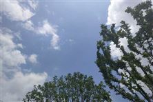 四家央企成立“CCER”聯(lián)合體