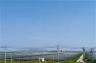 收到异议，550t/d垃圾发电技改项目设备采购安装PC暂停