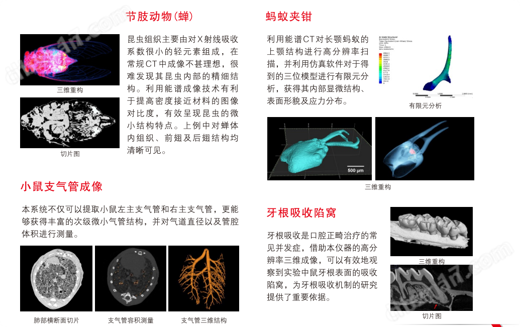 小動物能譜顯微CT