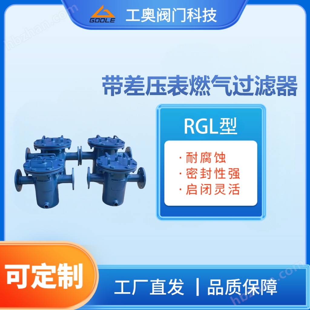 帶差壓表燃?xì)膺^濾器