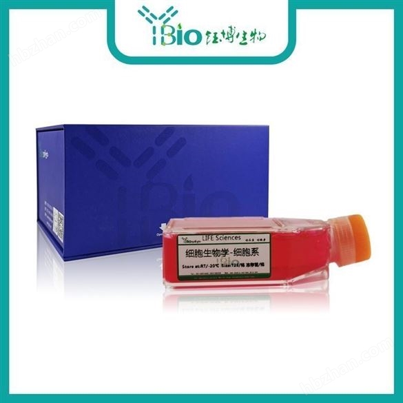 THP-1細(xì)胞-上海鈺博