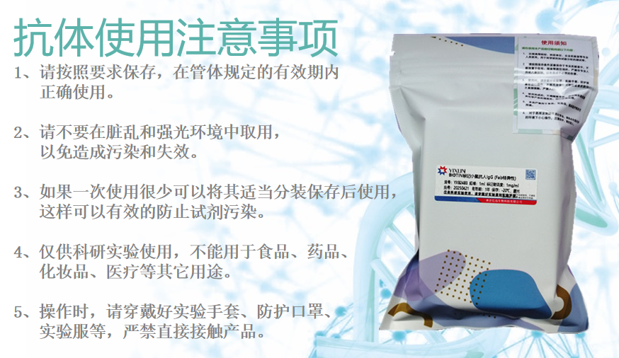 小鼠抗猴IgG單克隆抗體 特異性